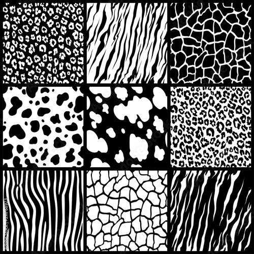 set texture animal skin seamless pattern background african tiger zebra giraffe cheetah cow jaguar