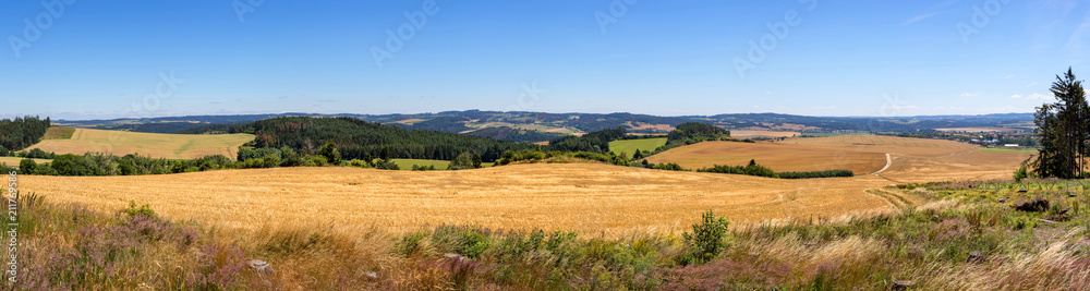 Panoramic view of summer countryside with golden fields