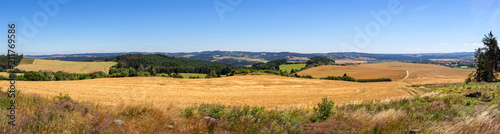 Panoramic view of summer countryside with golden fields