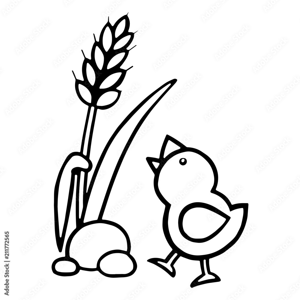Chicken cartoon illustration isolated on white background for children color book