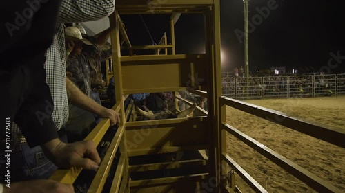A medium shot of a bull rider getting ready to ride his bull