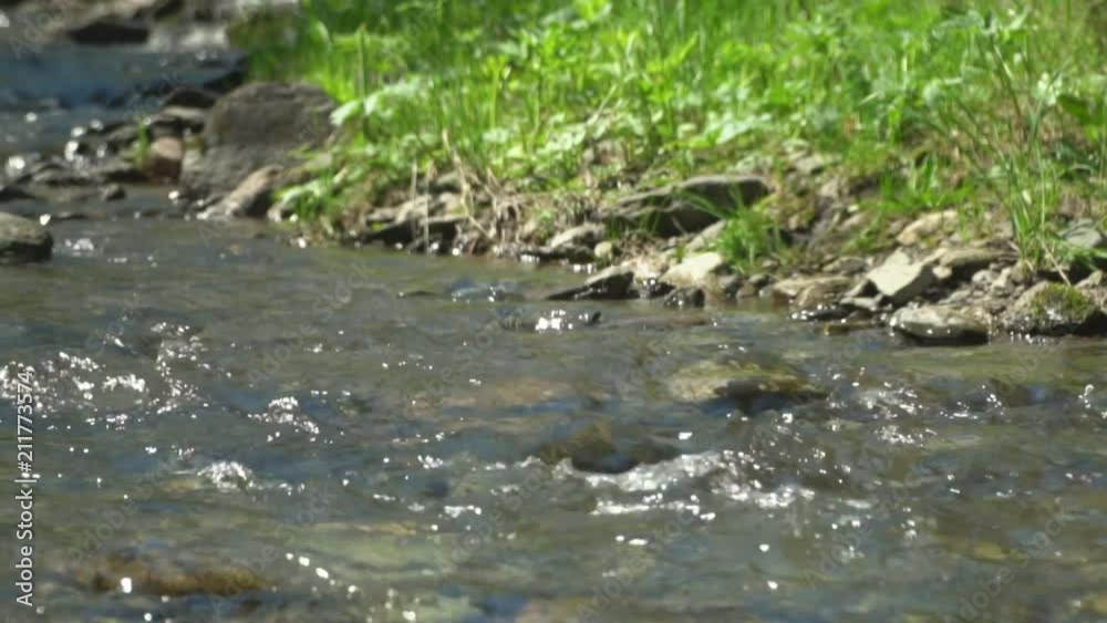 The woman the traveler with a backpack and sticks for tracking passes a mountain stream.