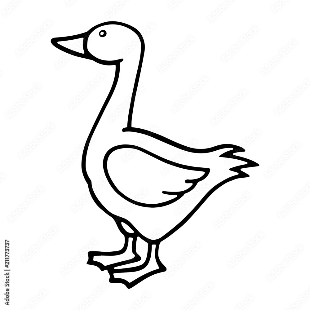 Obraz premium Duck cartoon illustration isolated on white background for children color book
