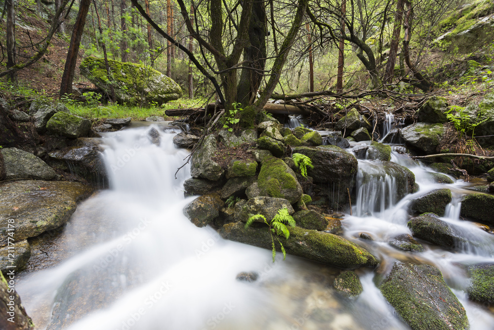 Obraz premium Arroyo fluye entre rocas y árboles en la ladera de una montaña