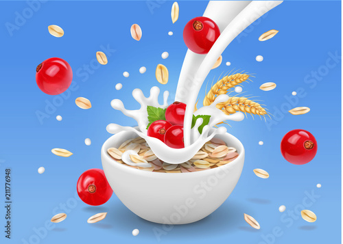Oatmeal flakes with milk and red currant