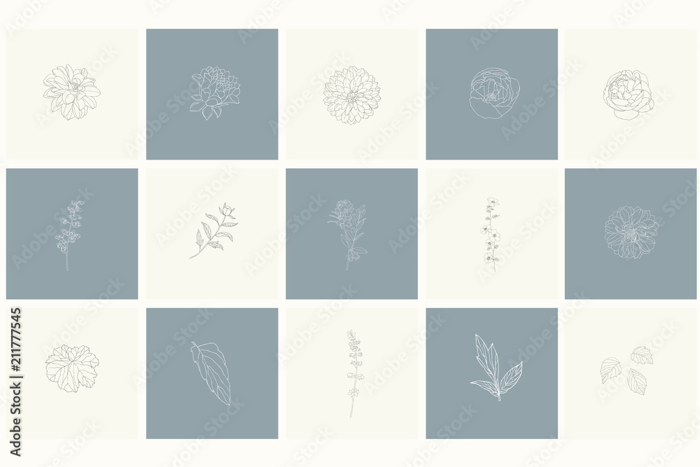 Set of floral design elements: plants, branches, leaves. Set of floral design elements: plants, branches, leaves.