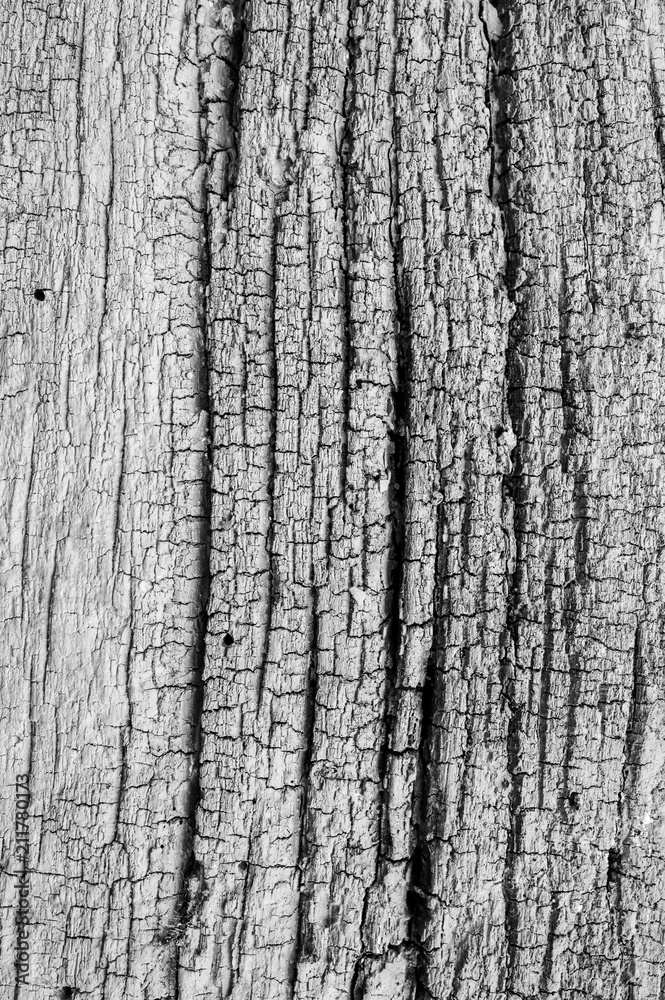 Obraz premium Old rustic vintage wooden background texture.