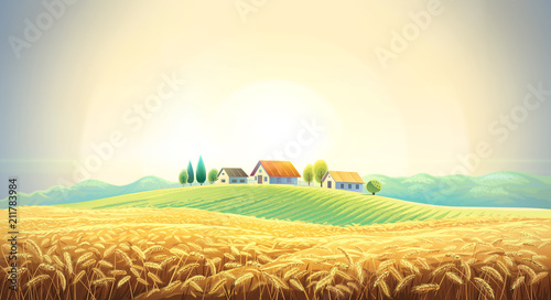 Rural landscape with a wheat field and a village on a hill. photo
