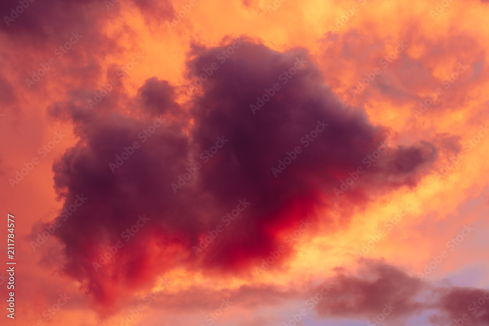 Cloud that looks like a small elephant in the sunset. Cloudscape in warm pink-orange tones.