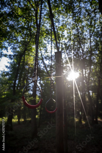 Klimmzug Griff Wald photo