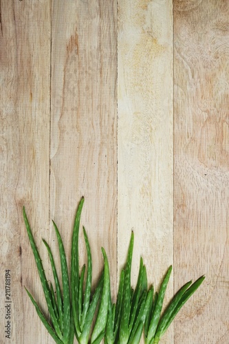 Aloe vera on wooden table background  copy space  skin care concept
