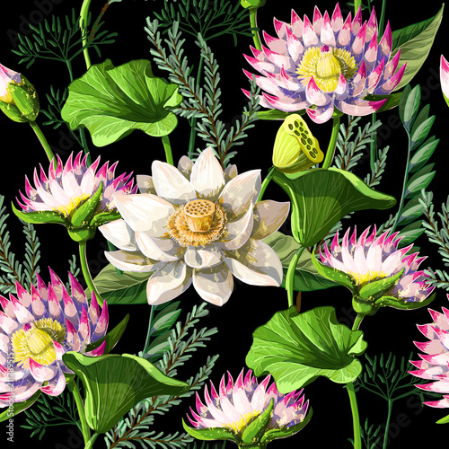 Print for t-shirt or poster  with waterlily hand draw and slogan. Vector illustration.