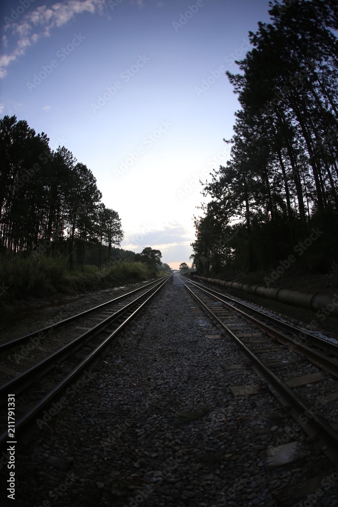 Fototapeta premium Linha de trem