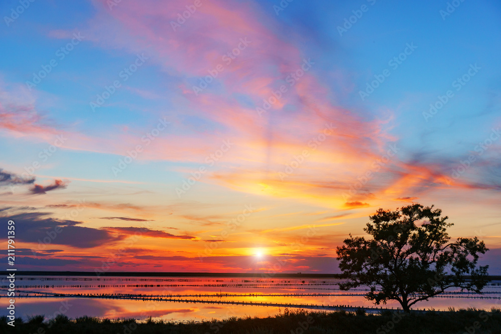 silhouette of a tree in front of a beautiful sunset over a lake