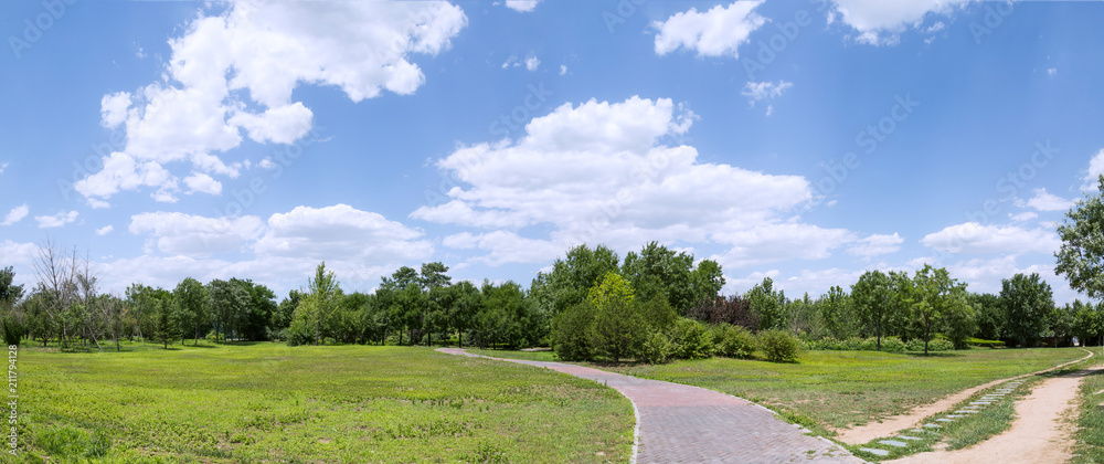 Panorama spring landscape with green grass and clouds