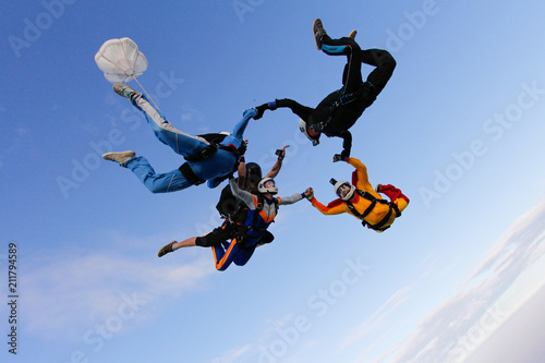 Group of skydivers is in the sky. Friends are falling with tandem-passenger girl.