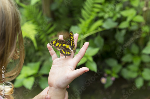 Yellow Spotted Butterfly on a Child's Hand