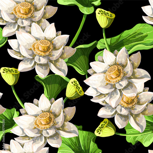 Seamless pattern  with waterlily hand draw . Vector illustration.