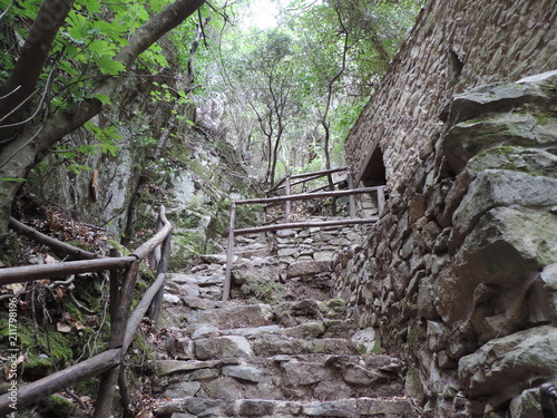 Santu Lussurgiu, sentiero nel bosco photo