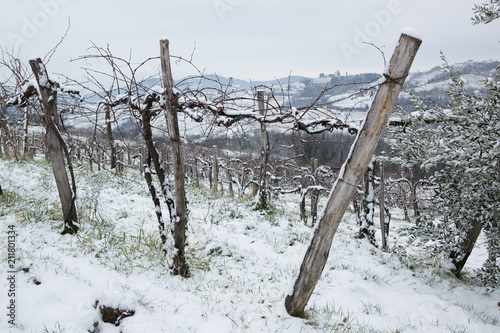 Obraz na płótnie snow in goriška brda