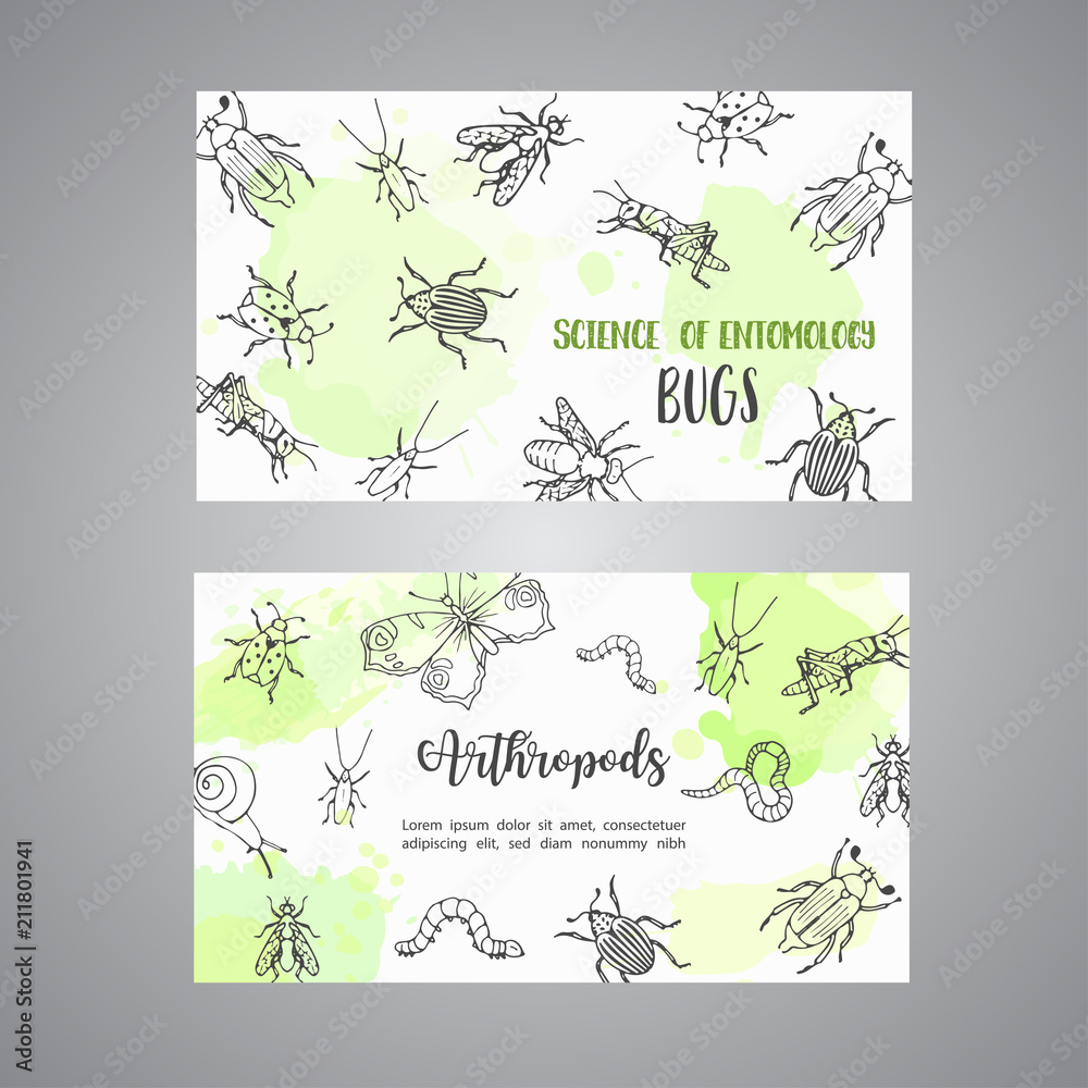 Bugs insects hand drawn cards. Pest control concept. Entomology poster. Cartoon illustration of pests and bug. Vector illustration concept