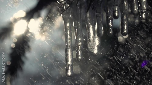 Sparkling frozen icicles on fir branches under the heavy rain against glittering sunny conifer background in slow motion. Epic vivid scene of wet forest with glittering raindrops.
