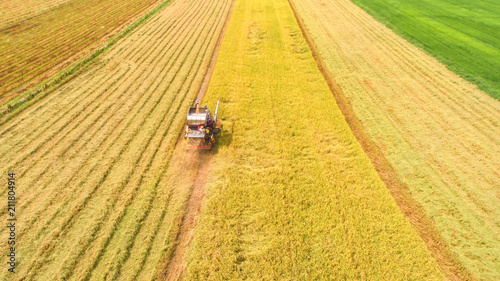 Combine harvester machine with rice farm.Aerial view and top view. Beautiful nature background.