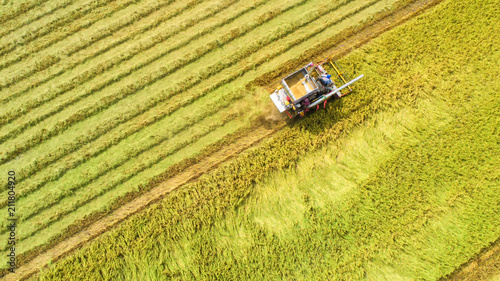 Combine harvester machine with rice farm.Aerial view and top view. Beautiful nature background. © MAGNIFIER
