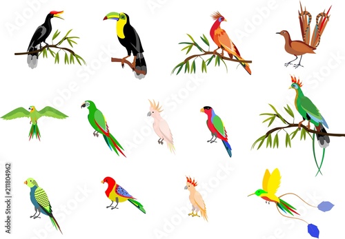 Set of tropical exotic birds, toucan, horned crows, goatin, parrots, isolated vector illustration