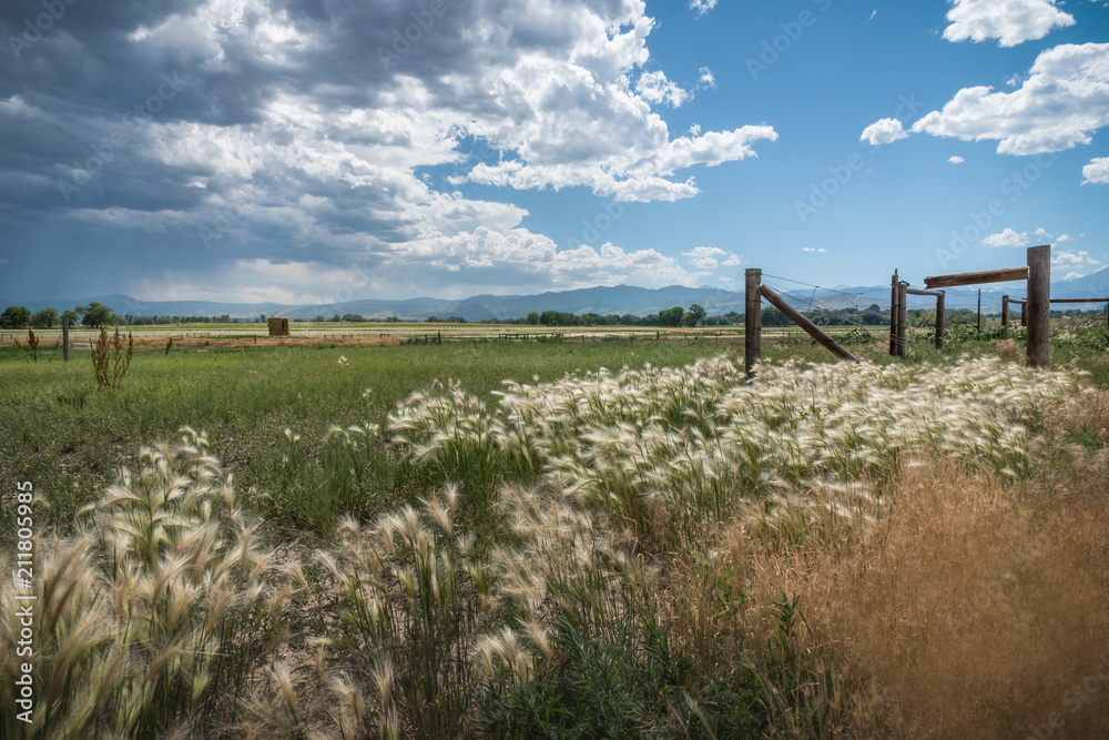 Broken fence and farm fields