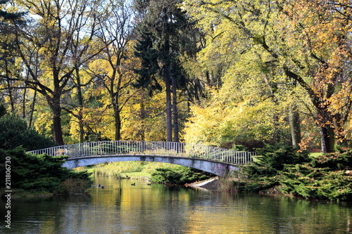 Park jesienią