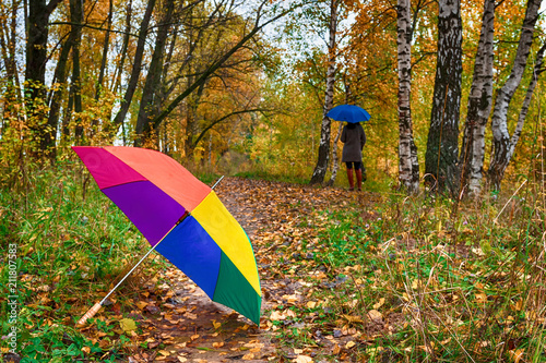 Multi-colored umbrella close-up during a rain fall day in a park with yellow leaves with copy space, weather concept