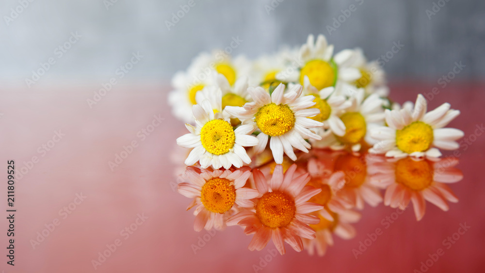 Obraz premium Bouquet of field chamomiles lies on a mirror surface