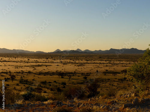 savane africaine - Namibie