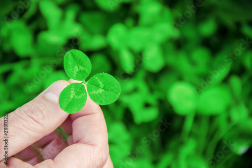 Clover leaf. Happy St. Patrick's Day. 