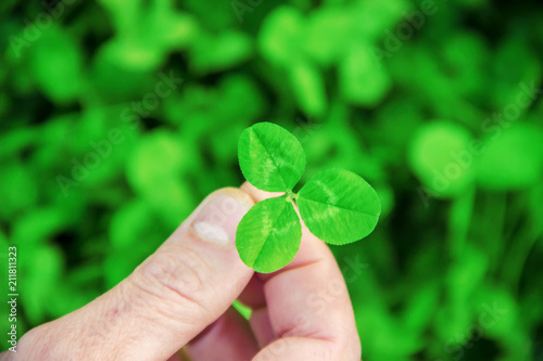 Clover leaf. Happy St. Patrick's Day. 