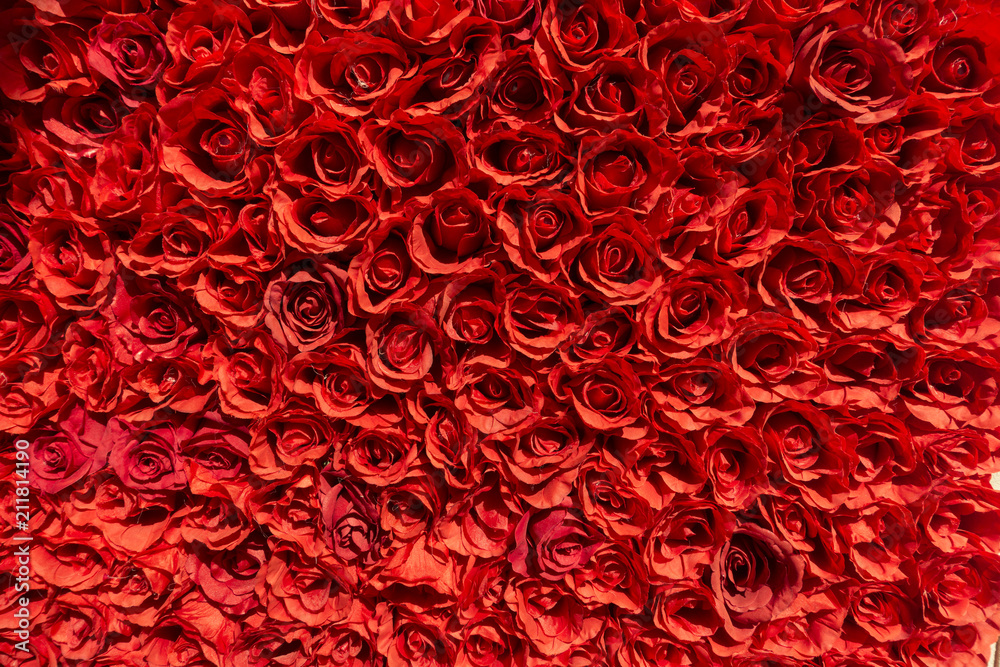 Clustered red roses making a wallpaper Clustered red roses making a wallpaper