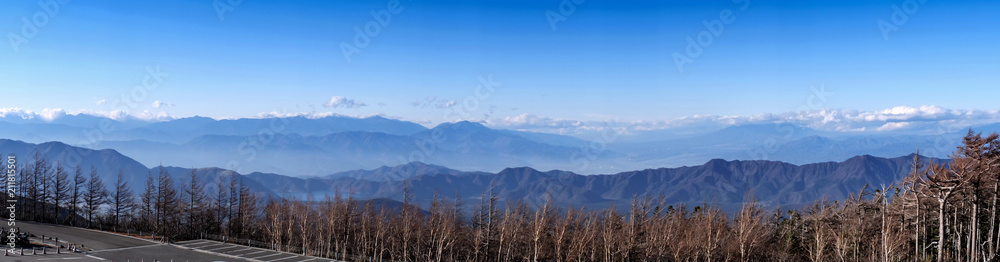 Fototapeta premium Pine and Sky During the trip to Mount Fuji.