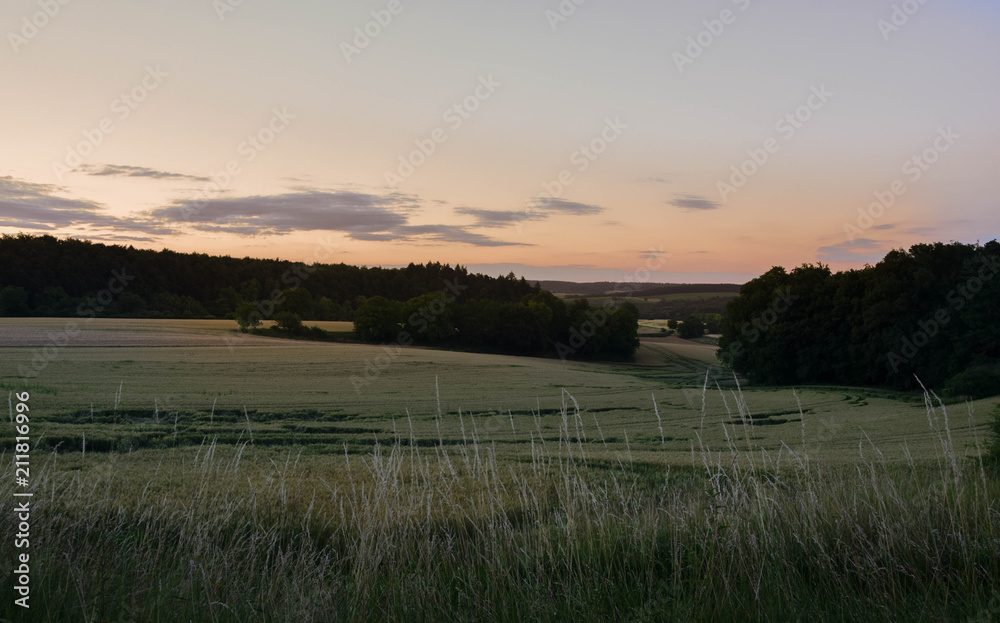 wheatfield - sunrise