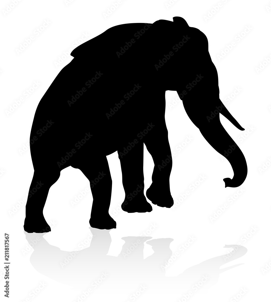 Fototapeta premium Elephant Animal Silhouette