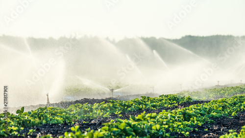 Water sprinklers irrigating a field. photo