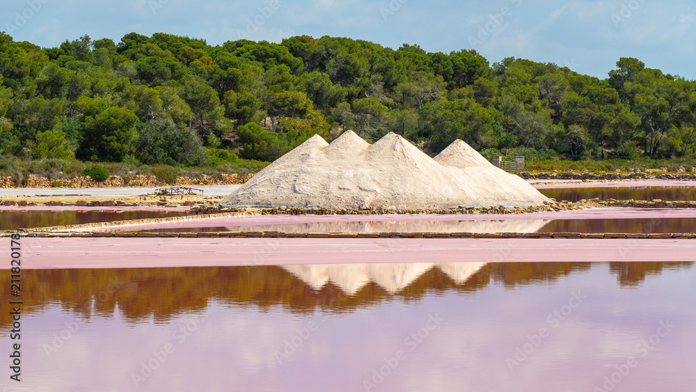 Amazing landscape of the beautiful salt flats at Colonia de Sant Jordi, Ses  Salines, Mallorca, Spain Stock Photo | Adobe Stock