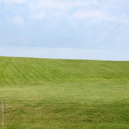 The green grass hill field landscape in the countryside.