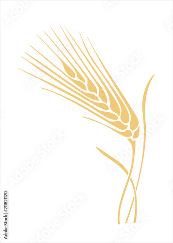 golden wheat spike stylized vector illustration