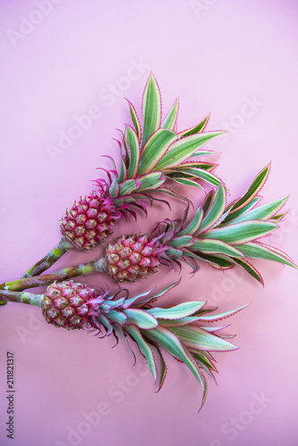 Pineappless flowers on pinl...