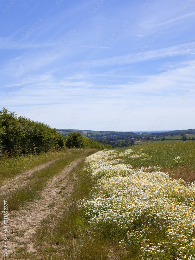 scenic bridleway scenic bridleway