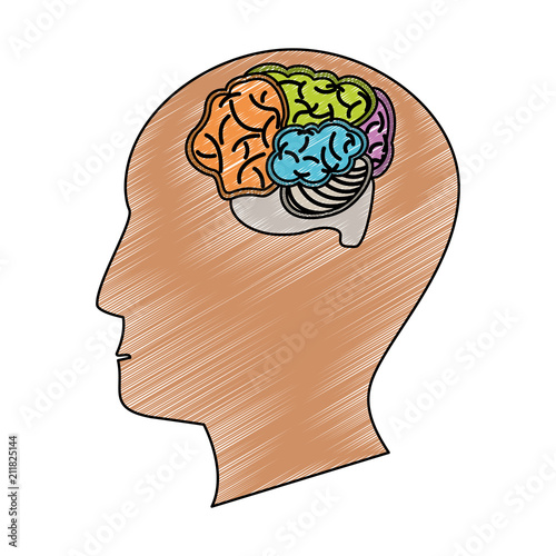 Brain hemispheres cartoon vector illustration graphic design