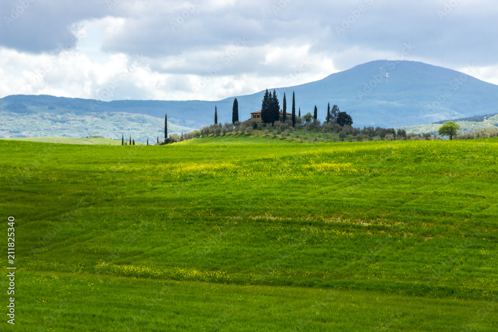 green hills in Val di Orcia in Tuscany