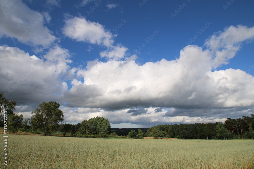 Traumhafte Wolken über dem Weizenfeld