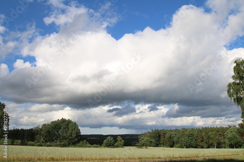 Traumhafte Wolken   ber dem Weizenfeld